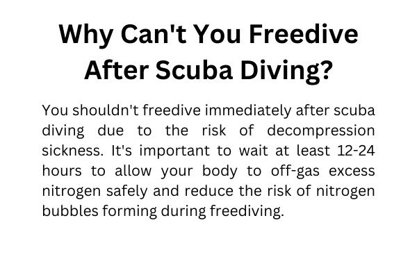 Freediving After Scuba Diving
