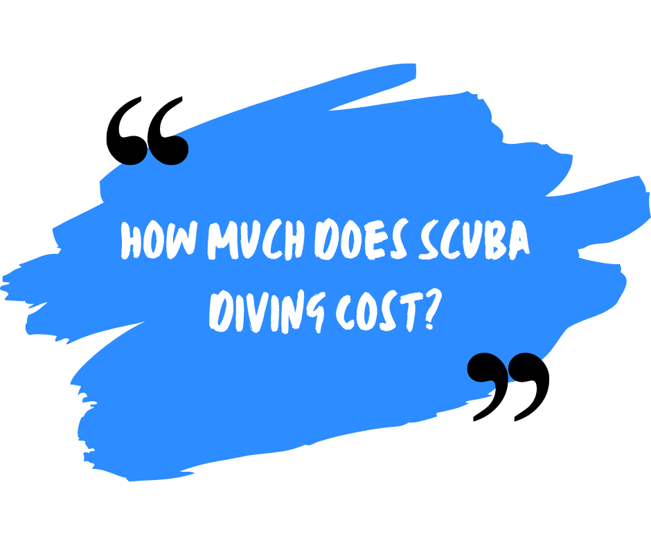 How Much Does Scuba Diving Cost