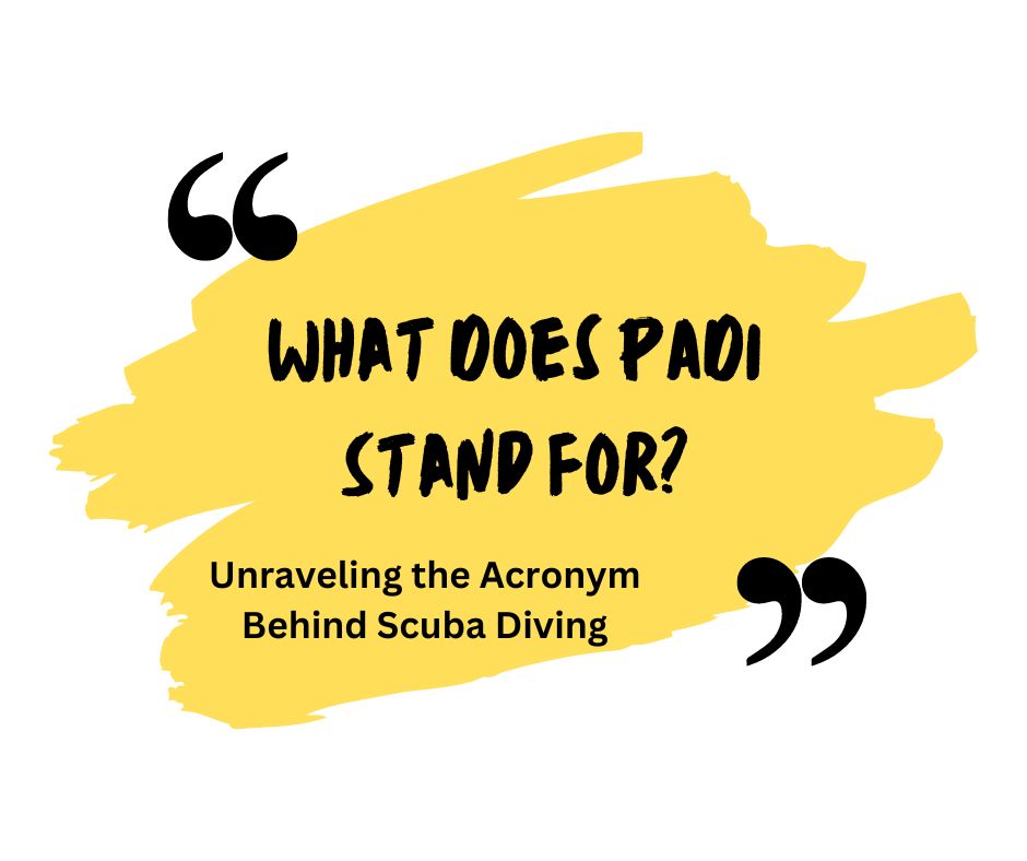 What does PADI stand for scuba
