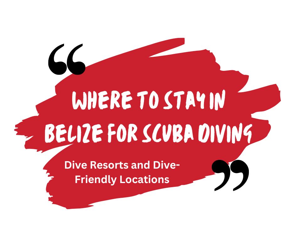 Where to Stay in Belize for Scuba Diving