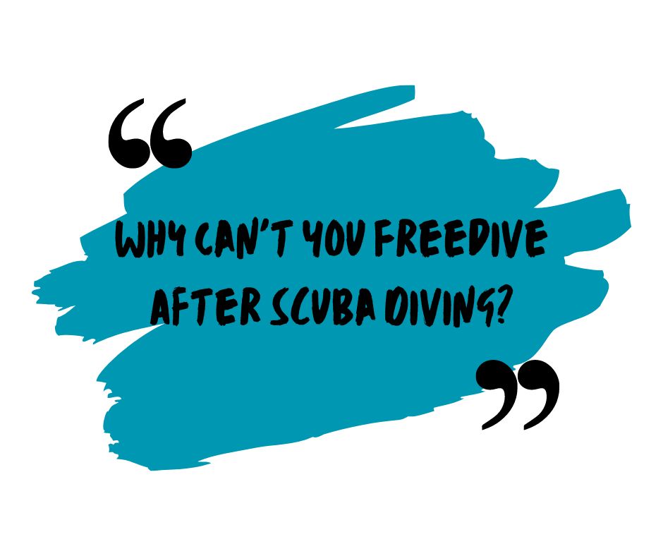 Why Can’t You Freedive After Scuba Diving?